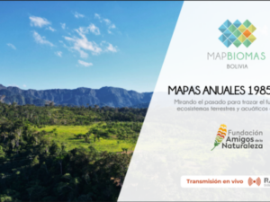 Lanzamiento de la Colección 2 MapBiomas Bolivia