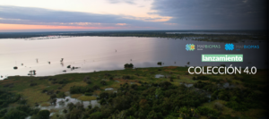 Lanzamiento de la Colección 4 MapBiomas Bolivia