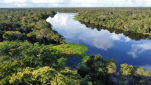 Lanzamiento de la Colección 3 de MapBiomas Bolivia